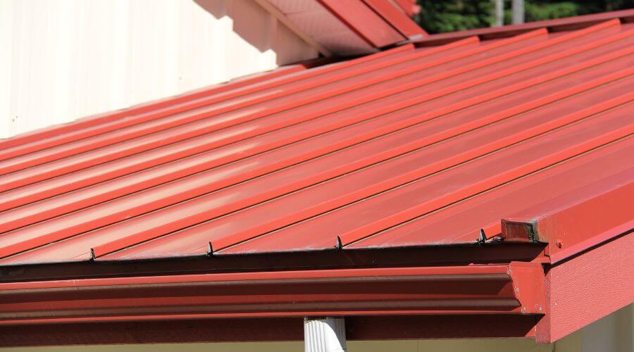 Professional gutter cleaning services in Bellevue, TX